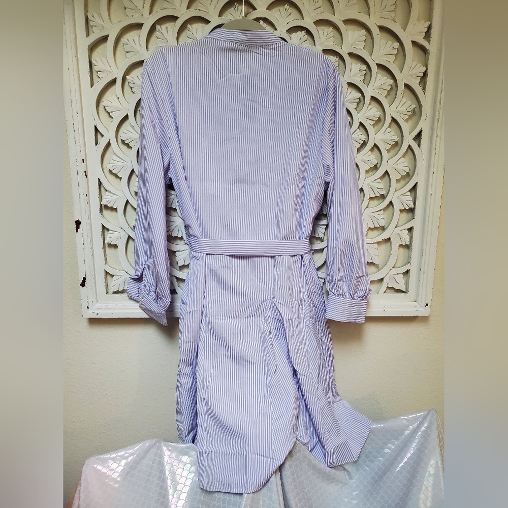 Lavender Pinstripe Shirt Dress NWT Angela Plus Best Fit Lg/XL - Picture 7 of 14